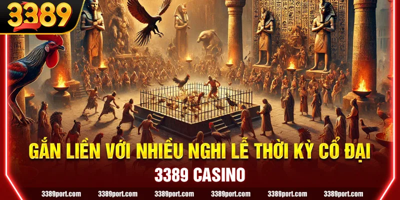 Lịch sử trò chơi đá gà gắn liền với nhiều nghi lễ thời kỳ cổ đại
